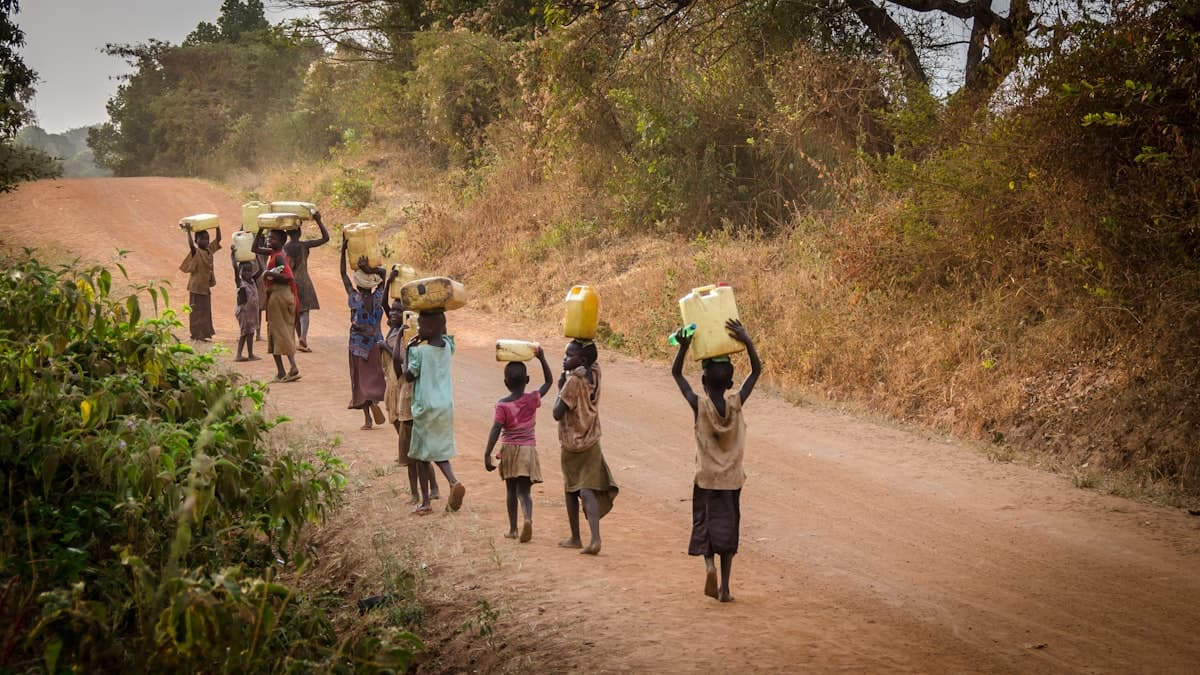 Multi-stakeholder Platforms for Forest Governance in the Congo Basin