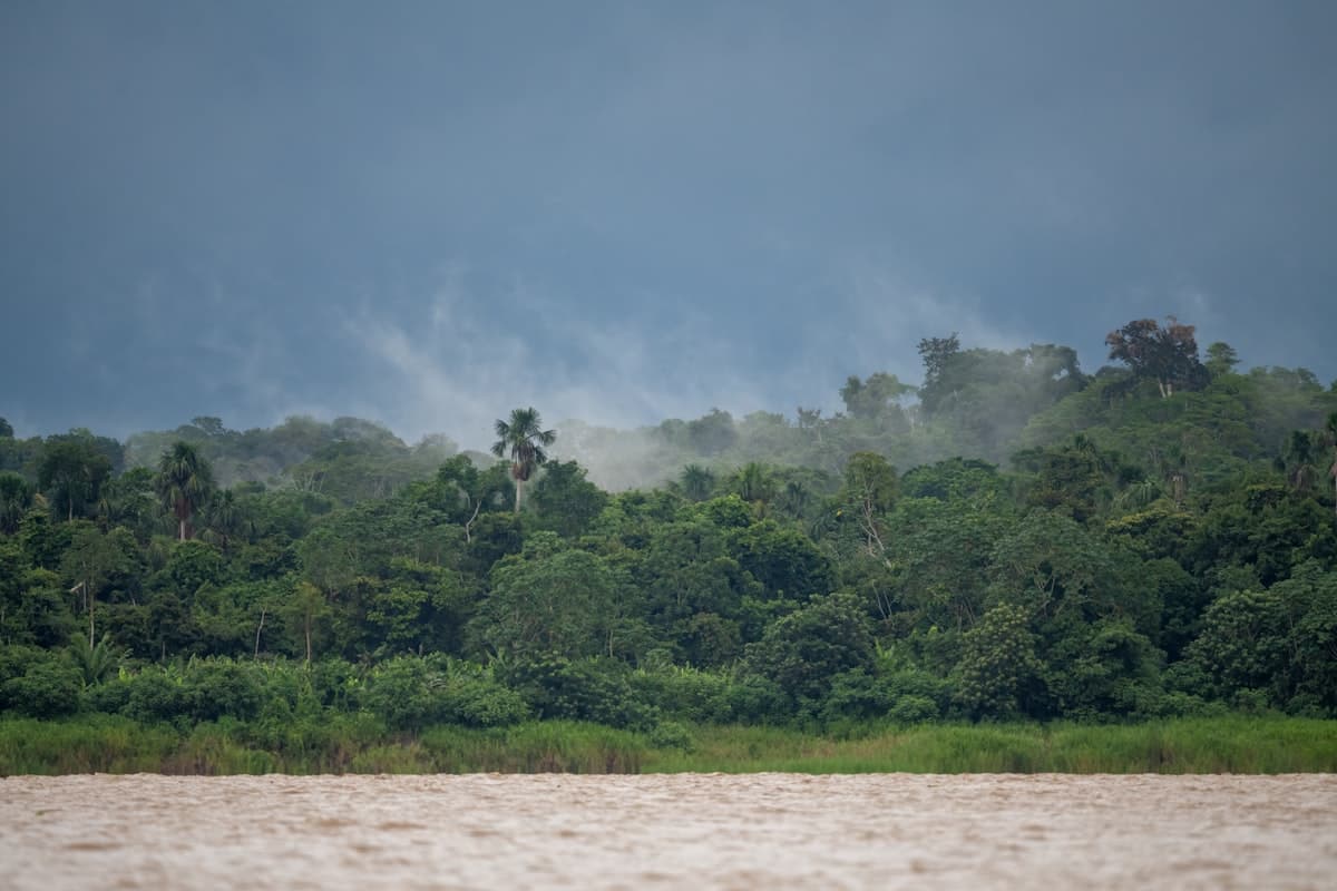 Jurisdictional REDD+ and Indigenous Rights in Peru and Indonesia
